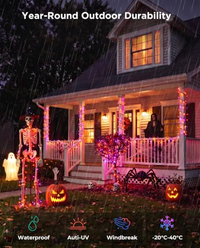 Halloween Lights 20FT 100 Count