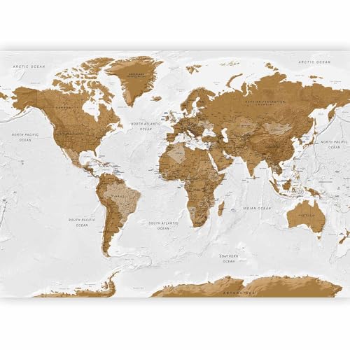 Wall Mural World Map 138x101 in (96.44 Sq Ft)