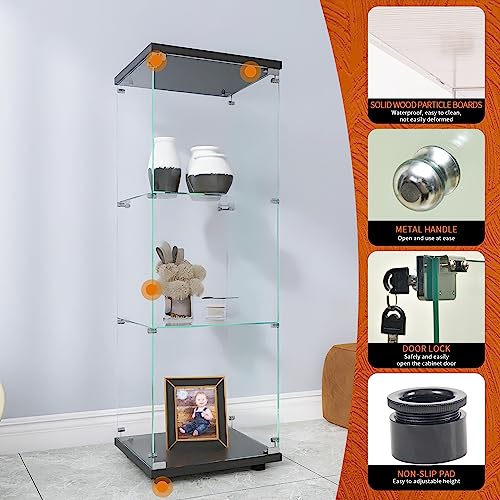 Black Glass Display Cabinet