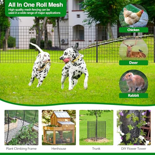Wire Fence 100 ft
