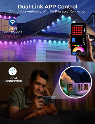 Permanent Outdoor Lights Pro 100ft (100 Foot)