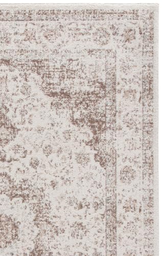 Evoke Accent Rug 4x6 (24 Sq Ft)