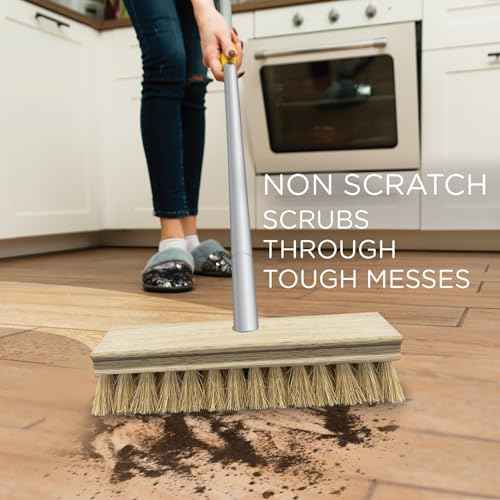 Deck Scrub Brush