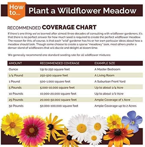 Non GMO Bulk Annual Gaillardia Blanket Flower Seed -Gaillardia pulchella (5 Lbs)