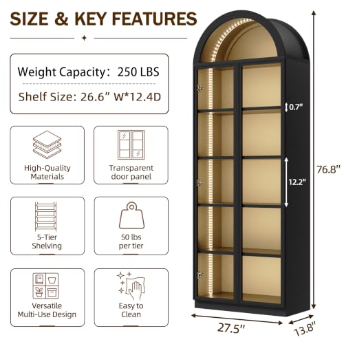 Wooden Curio Cabinet with Acrylic Glass Door