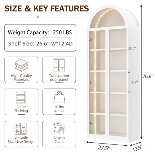 Wooden Curio Cabinet with Acrylic Glass Door
