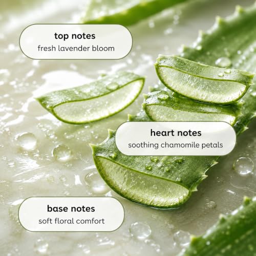 Botanicals Liquid Dish Soap (512 Fl Oz)
