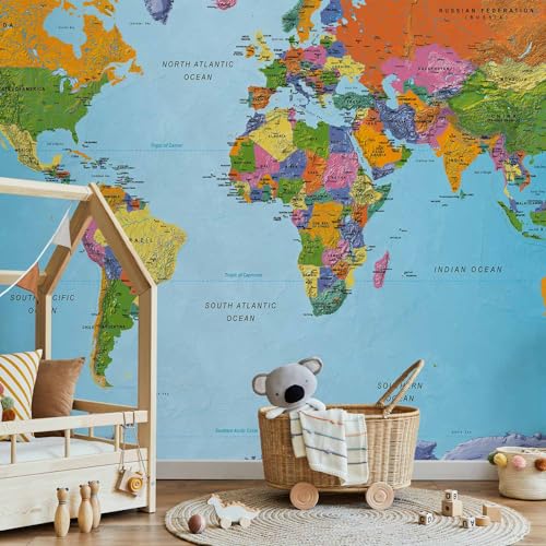 Wall Mural World Map 154x110 in (118.18 Sq Ft)