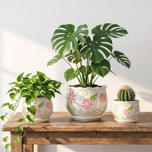 Pink Ceramic Flower Pots (3 Count)