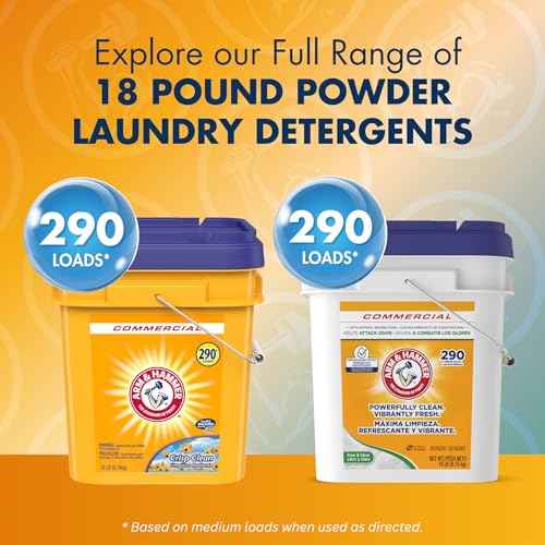Powder Laundry Detergent (288 Ounce)
