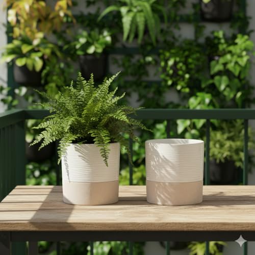 Ceramic Self Watering Plant Pot for Indoor Plants (2 Count)