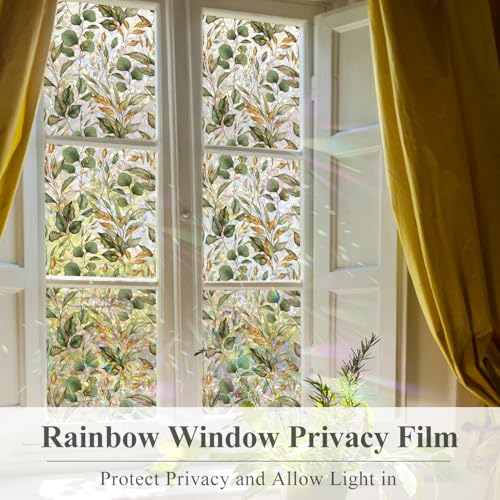 Rainbow Window Privacy Film with Tools