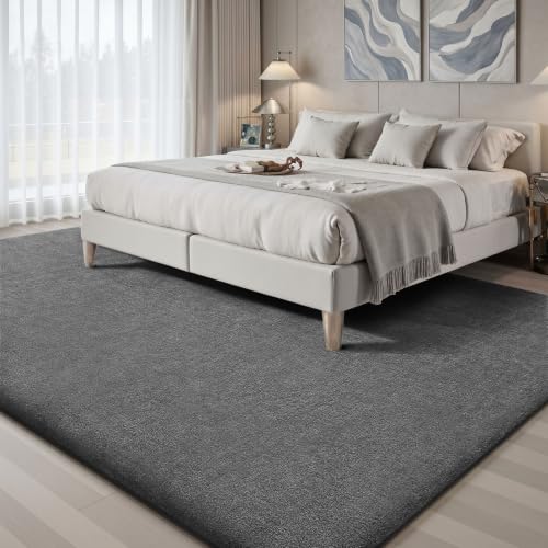 4x6 Area Rugs for Living Room Bedroom (24 Sq Ft)