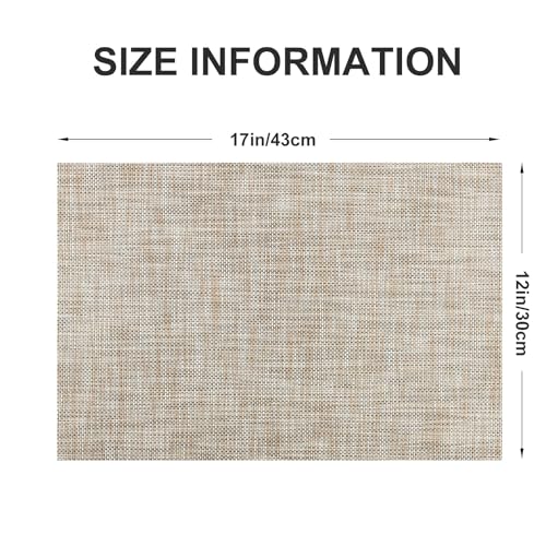 Vinyl Placemats Set of 4 (4 Count)