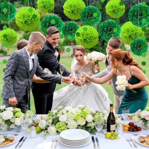 16 Pcs Green Tissue Pom Poms and Dot Garlands (16 Count)