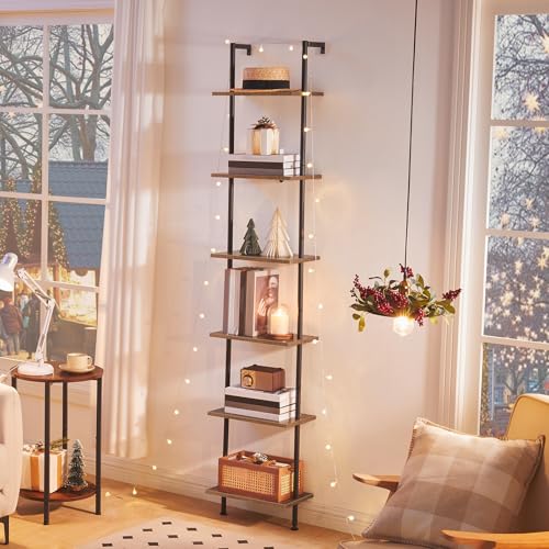 DIY Ladder Shelf