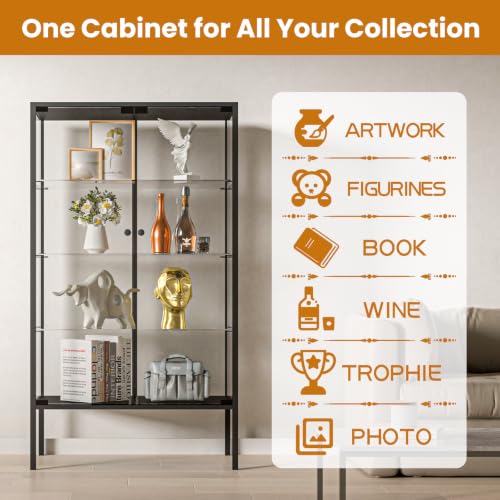 Iron Frame Glass Display Cabinet
