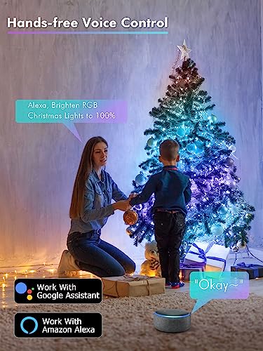 Smart RGB Fairy Lights 100 LED