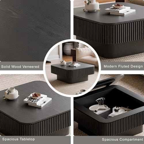 Square Small Coffee Table with Storage