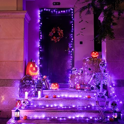 8 Modes 163 FT 500 LED Purple Halloween Lights with Remote (163 Foot)
