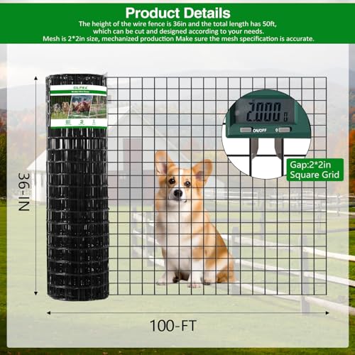 Wire Fence 100 ft
