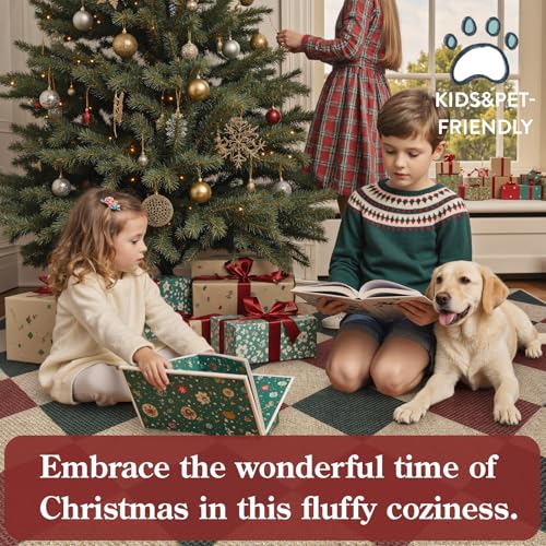 Christmas Rug (5040 sq inches)