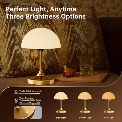 Mushroom Lamp Cordless Lamp Table Lamp