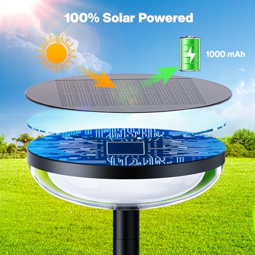 Solar Pathway Lights Outdoor (6 Count)