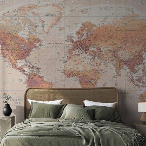 Wall Mural World Map 138x101 in (96.44 Sq Ft)