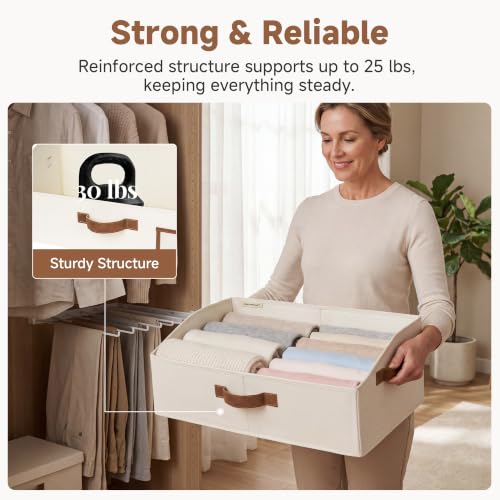 Closet Storage Bins Trapezoid (3 Count)