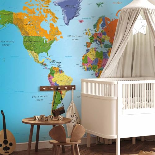 Wall Mural World Map 154x110 in (118.18 Sq Ft)