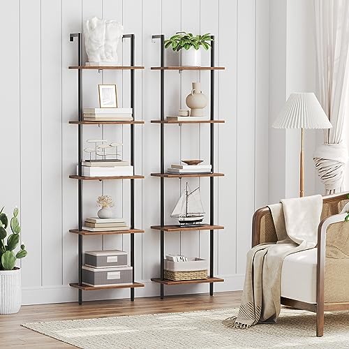 DIY Ladder Shelf
