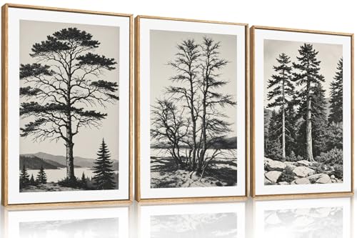 Large Vintage Sketch Tree Framed Wall Art Set