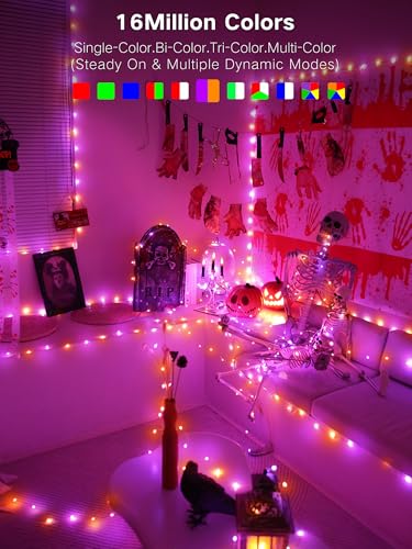 Smart RGB Fairy Lights 100 LED