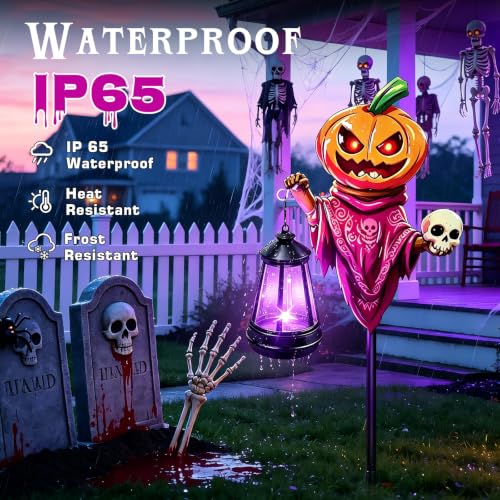 Halloween Decorations Outdoor Solar Lights