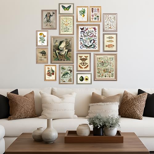 16 Pcs Unframed Vintage Botanical Biology Art (17 Count)