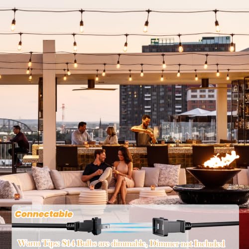 36 FT Outdoor String Lights 2W LED Antique Edison Waterproof ETL (36 Foot)