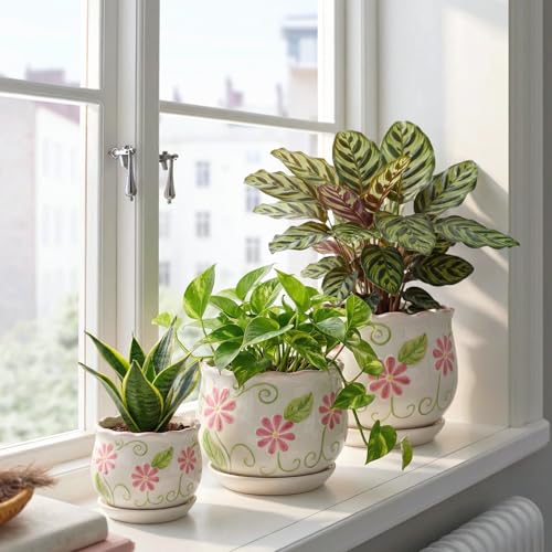Pink Ceramic Flower Pots (3 Count)