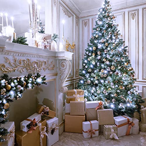 91.5ft Connectable 250 LED White Christmas Lights Indoor Outdoor (91.5 Foot)