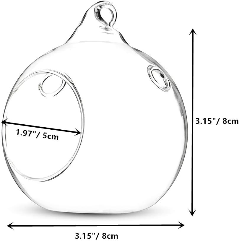 12 Pcs 3.15"/ 8cm Hanging Glass Tealight Holder Globe Plant Terrariums Glass Orbs Air Plants Tea Light Candle Holders Home Decor Indoor Outdoor Garden (with 2 Holes, 9 Pcs + 3 Pcs)