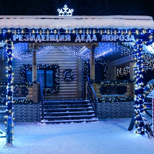 163ft 500 LED Blue and White Christmas Lights with 8 Modes (163 Foot)