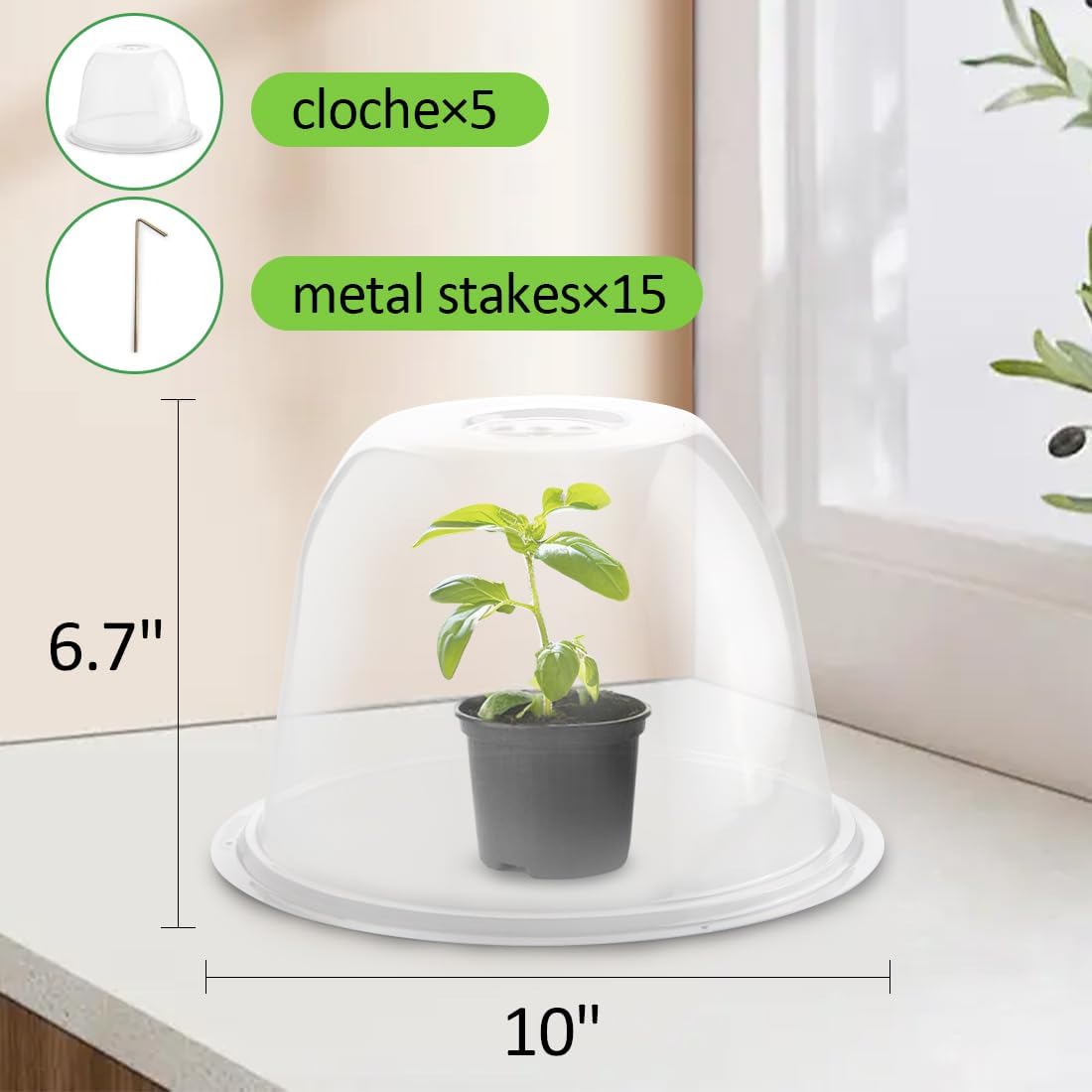 Plant Protectors from Animals 5-Pack, 10" D × 6.7" H Garden Cloches for Seedlings Nursery Pots, Clear Plant Covers, Mini Greenhouse for Plants, Durable Humidity Domes with Ventilation Holes