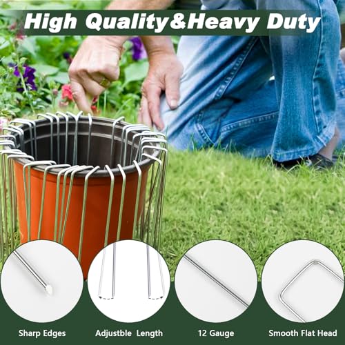 4 Inch Galvanized Landscape Staples (500 Count)