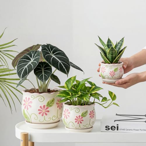 Pink Ceramic Flower Pots (3 Count)