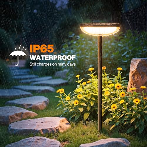 Solar Pathway Lights Outdoor (6 Count)