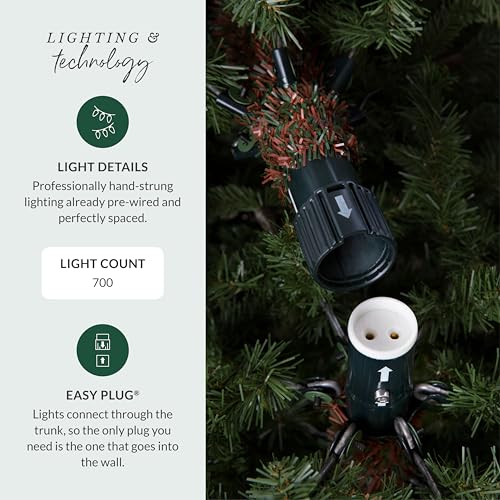 6.5ft Pre Lit Classic Blue Spruce