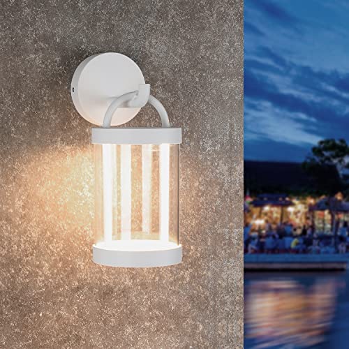 LED Wall Sconce Light Outdoor