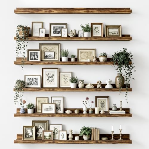 Floating Shelves for Wall Decor and Storage (6 Count)
