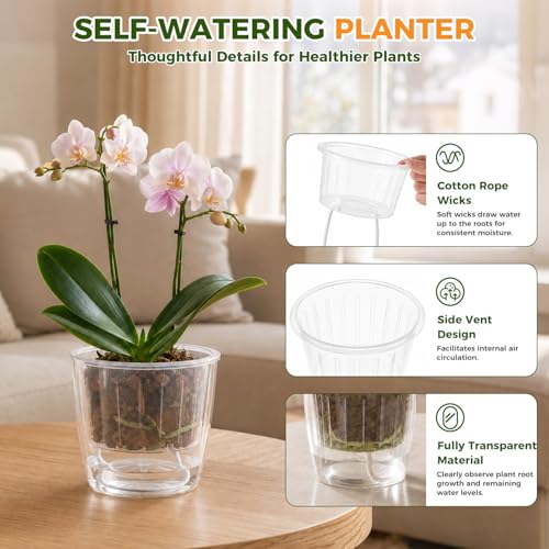 Clear Self Watering Pots for Indoor Plants (6 Count)