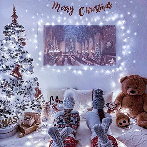 91.5ft Connectable 250 LED White Christmas Lights Indoor Outdoor (91.5 Foot)
